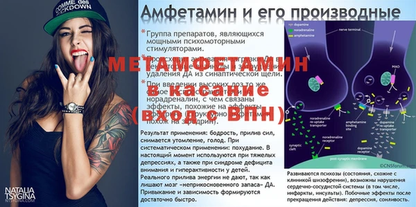 мяу мяу мука Елизово