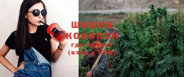 круглые Ельня
