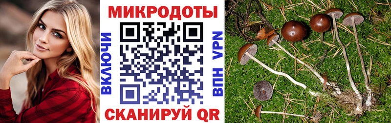 ОМГ ОМГ зеркало Ивантеевка Псилоцибиновые грибы Psilocybine cubensis