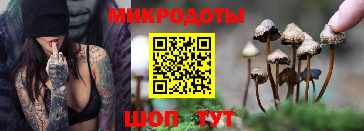 Галлюциногенные грибы мицелий  Ивантеевка  Галлюциногенные грибы Cubensis 